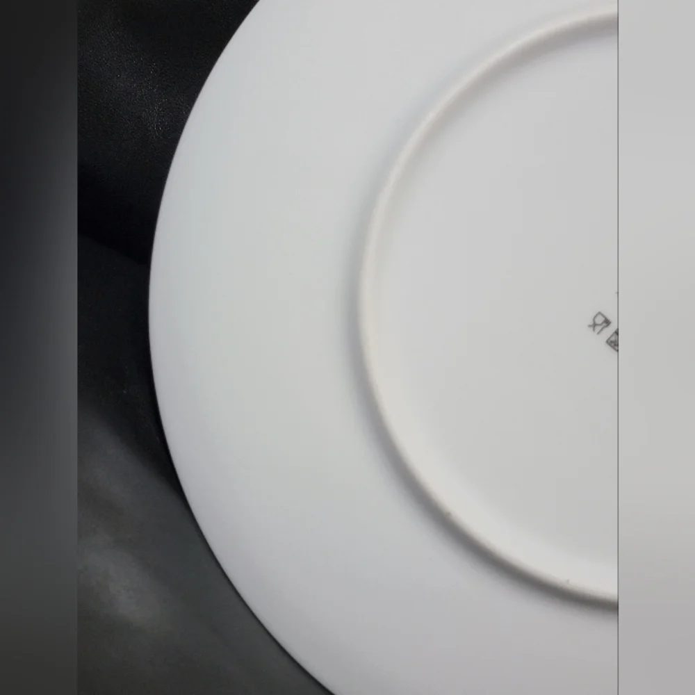 IKEA Sweden Flying Koi Fish Over Mountains 11” Dinner Plate 23102 Made in Poland